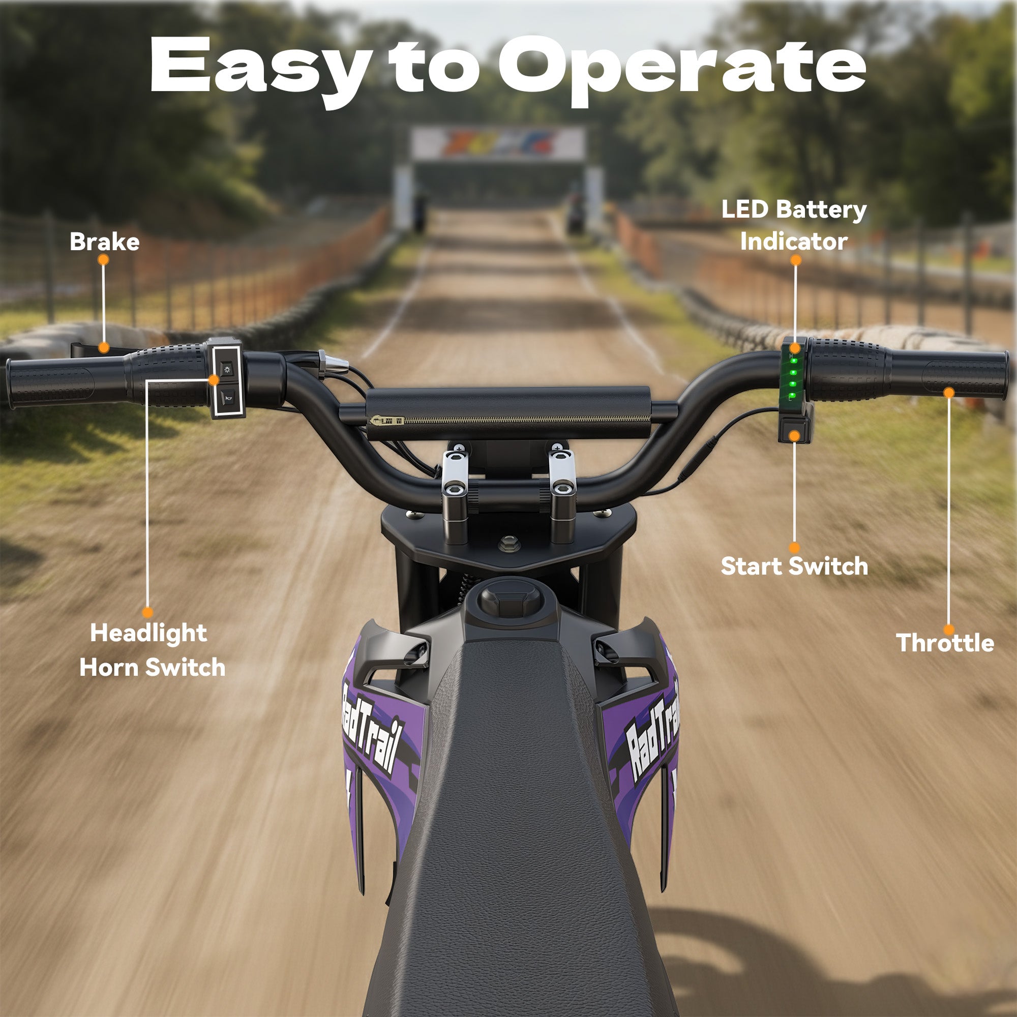 36V 12" 300W Kids Electric Motorcycle-purple