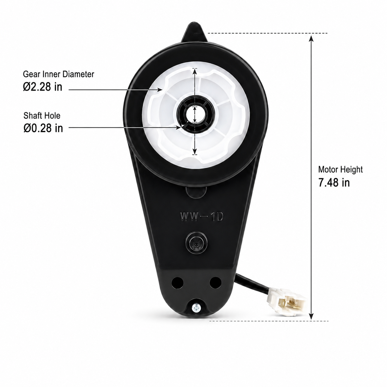 24V RS550 WW-1D Gearbox Motor with Thermal Protector