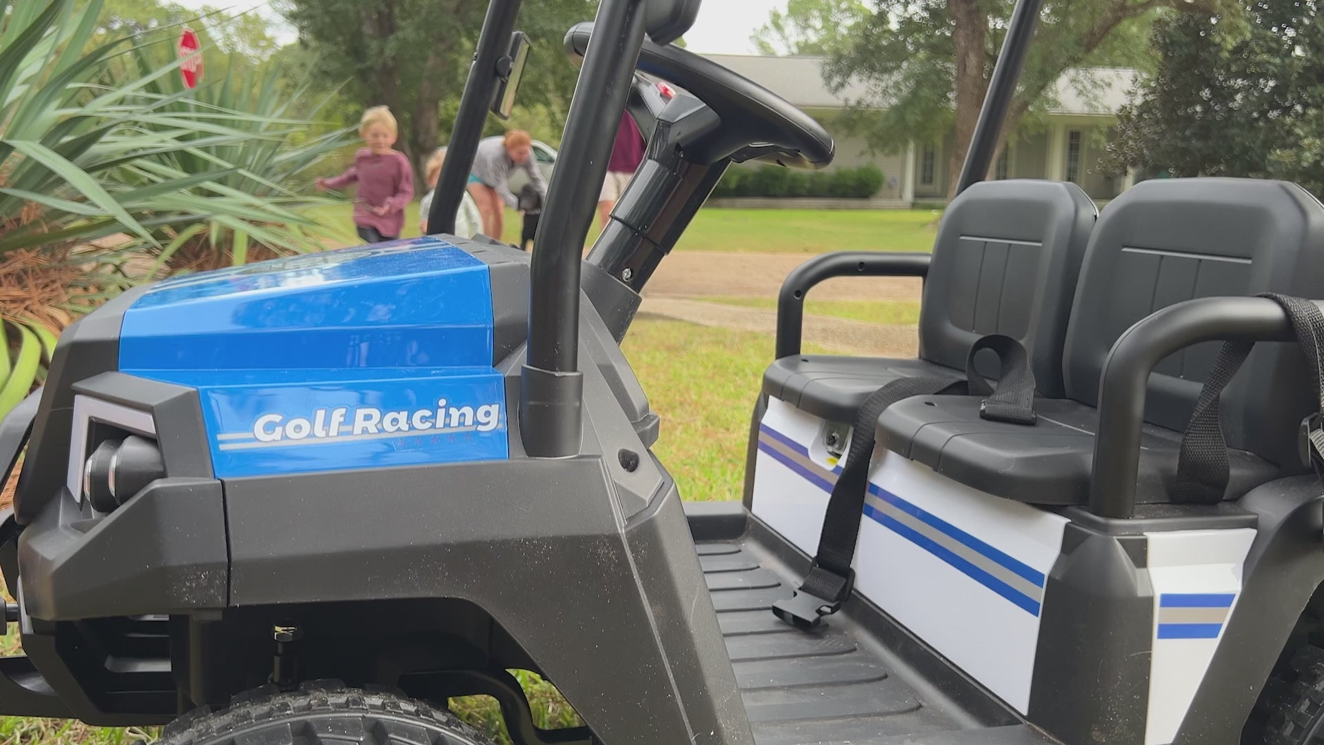 24V 4WD Ride-On Golf Cart