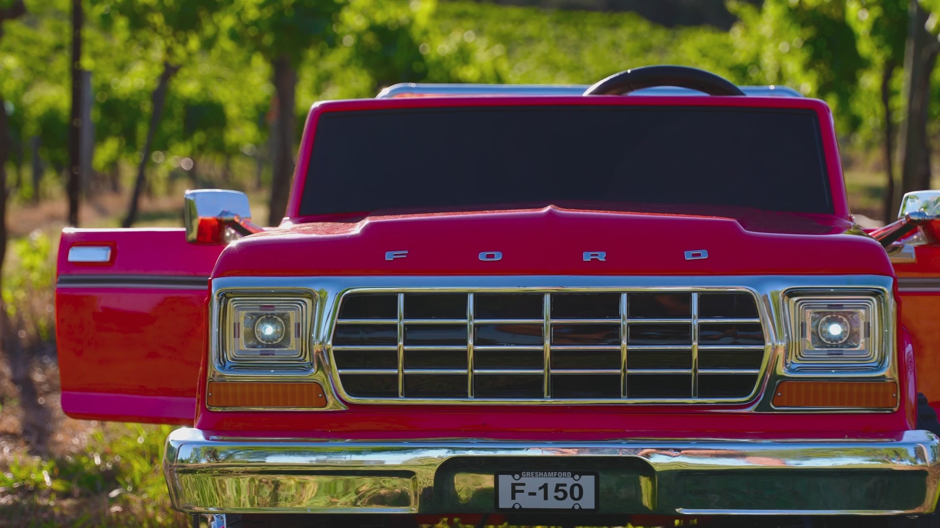 24V Licensed Ford F-150 Kids Ride-On